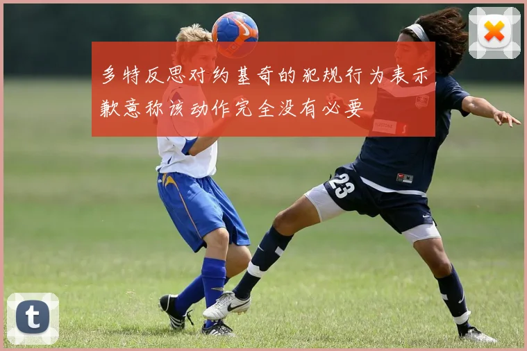 多特反思对约基奇的犯规行为表示歉意称该动作完全没有必要