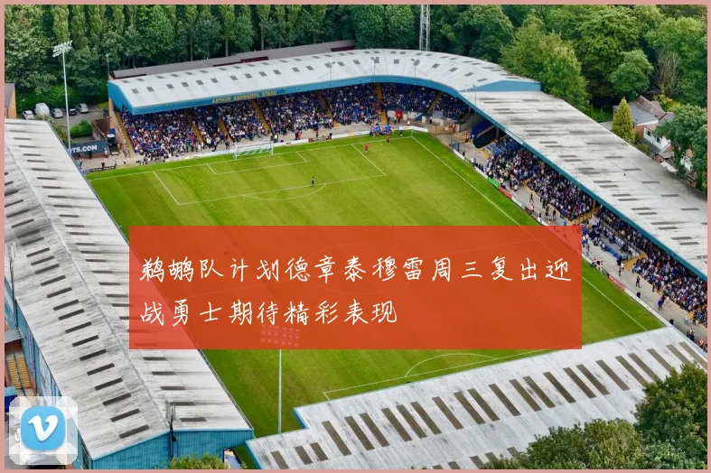 鹈鹕队计划德章泰穆雷周三复出迎战勇士期待精彩表现