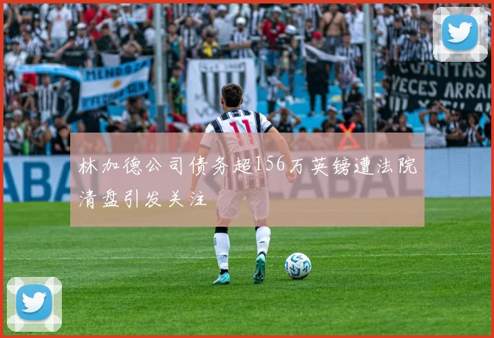 林加德公司债务超156万英镑遭法院清盘引发关注
